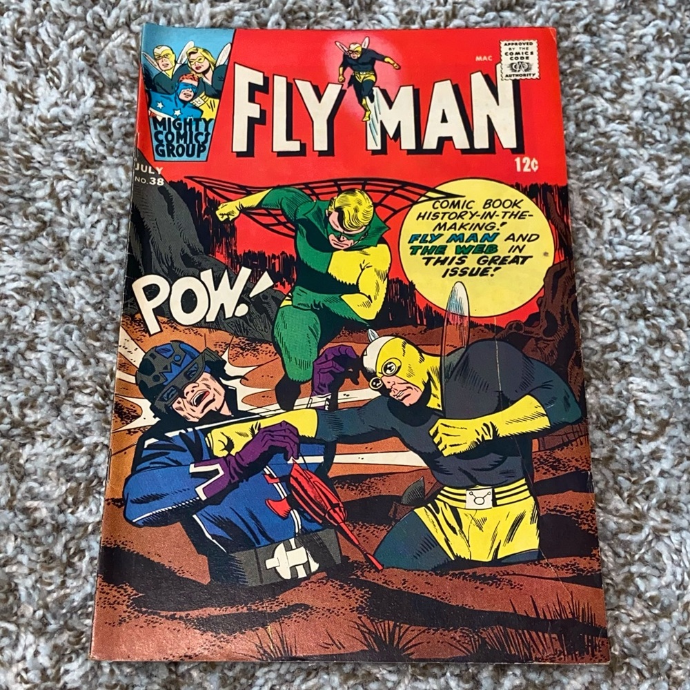 VINTAGE 1966 FLY MAN MIGHTY COMICS GROUP The Web App Silver Age Comic #38